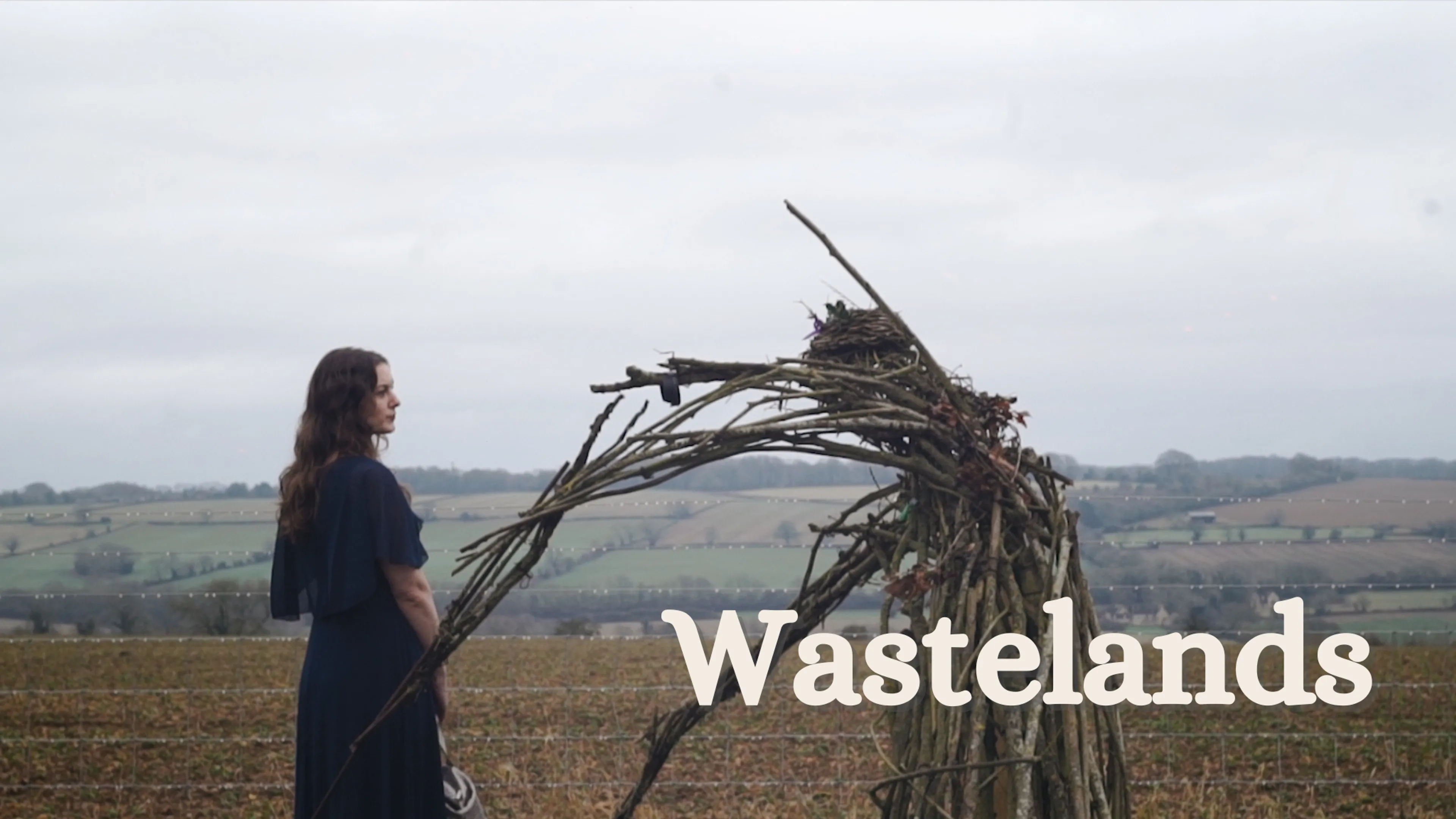 Wastelands poster